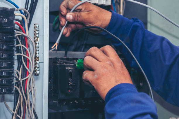 Best Electric Panel Repair  in Aristocrat Ranchettes, CO